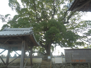 妙勝寺６.BMP