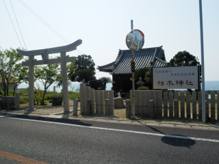 枯木神社１.BMP