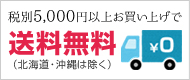 5400円以上お買い上げで送料無料